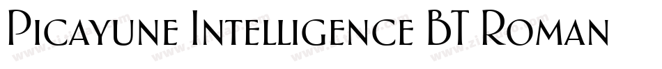 Picayune Intelligence BT Roman字体转换